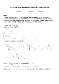 2023-2024学年甘肃省静宁县八年级数学第一学期期末经典试题含答案