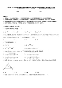 2023-2024学年甘肃省酒泉市数学八年级第一学期期末复习检测模拟试题含答案