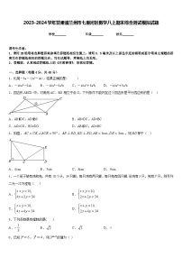 2023-2024学年甘肃省兰州市七里河区数学八上期末综合测试模拟试题含答案