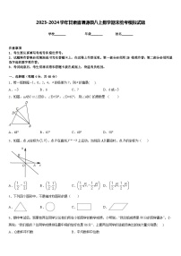 2023-2024学年甘肃省渭源县八上数学期末统考模拟试题含答案