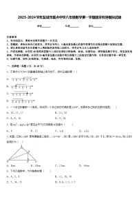 2023-2024学年盐城市重点中学八年级数学第一学期期末检测模拟试题含答案