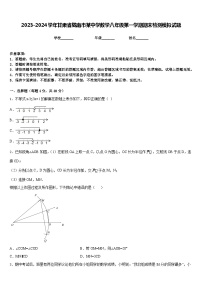 2023-2024学年甘肃省陇南市某中学数学八年级第一学期期末检测模拟试题含答案