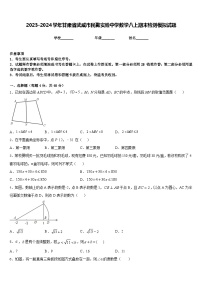 2023-2024学年甘肃省武威市民勤实验中学数学八上期末检测模拟试题含答案