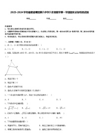 2023-2024学年福建省莆田第八中学八年级数学第一学期期末达标检测试题含答案