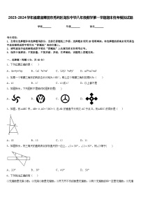 2023-2024学年福建省莆田市秀屿区湖东中学八年级数学第一学期期末统考模拟试题含答案