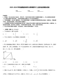 2023-2024学年福建省泉州市永春县数学八上期末监测模拟试题含答案