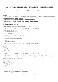 2023-2024学年贵州省凯里市第十二中学八年级数学第一学期期末复习检测试题含答案