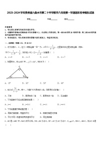 2023-2024学年贵州省六盘水市第二十中学数学八年级第一学期期末统考模拟试题含答案