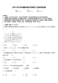 2023-2024学年衡阳市逸夫中学数学八上期末检测试题含答案