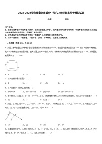 2023-2024学年秦皇岛市重点中学八上数学期末统考模拟试题含答案