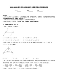 2023-2024学年贵州省罗甸县联考八上数学期末达标检测试题含答案