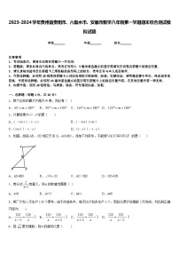 2023-2024学年贵州省贵阳市、六盘水市、安顺市数学八年级第一学期期末综合测试模拟试题含答案