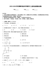 2023-2024学年邯郸市重点中学数学八上期末监测模拟试题含答案