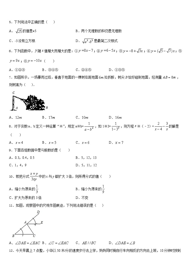 2023-2024学年辽宁省沈阳市第八十五中学八上数学期末监测试题含答案第2页
