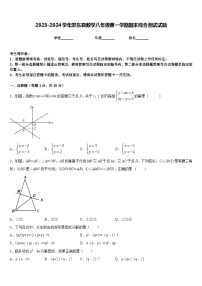 2023-2024学年邵东县数学八年级第一学期期末综合测试试题含答案