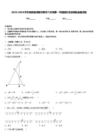 2023-2024学年陕西省咸阳市数学八年级第一学期期末质量跟踪监视试题含答案