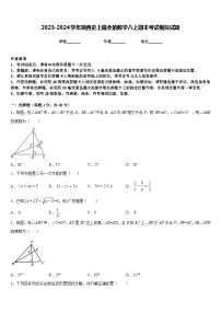 2023-2024学年陕西史上最全的数学八上期末考试模拟试题含答案