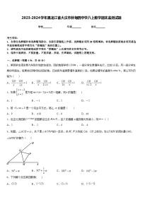 2023-2024学年黑龙江省大庆市林甸四中学八上数学期末监测试题含答案