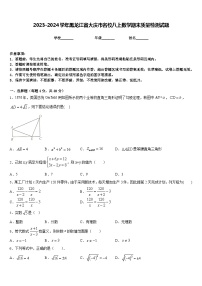 2023-2024学年黑龙江省大庆市名校八上数学期末质量检测试题含答案