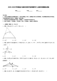 2023-2024学年黑龙江省哈尔滨市巴彦县数学八上期末经典模拟试题含答案