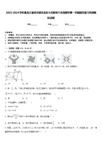 2023-2024学年黑龙江省哈尔滨松北区七校联考八年级数学第一学期期末复习检测模拟试题含答案