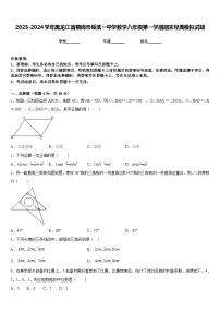 2023-2024学年黑龙江省鹤岗市绥滨一中学数学八年级第一学期期末经典模拟试题含答案