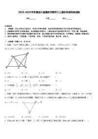 2023-2024学年黑龙江省黑河市数学八上期末质量检测试题含答案