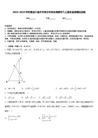 2023-2024学年黑龙江省齐齐哈尔市克东县数学八上期末监测模拟试题含答案