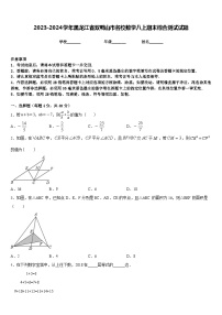 2023-2024学年黑龙江省双鸭山市名校数学八上期末综合测试试题含答案