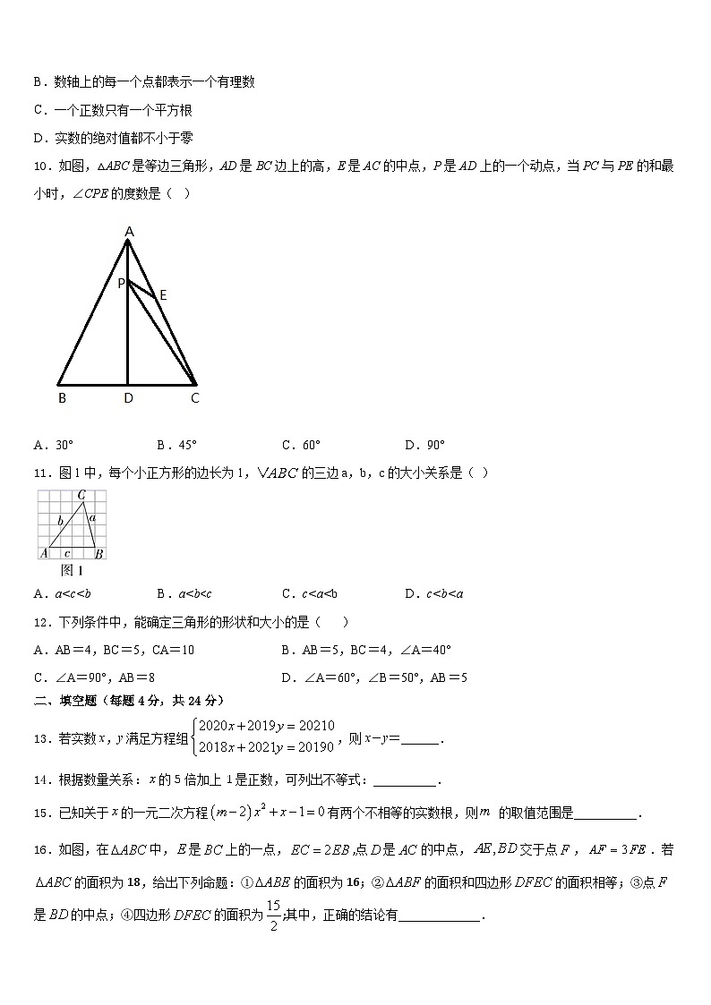 2023-2024学年青岛市数学八上期末统考模拟试题含答案第2页