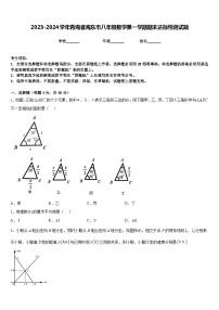 2023-2024学年青海省海东市八年级数学第一学期期末达标检测试题含答案