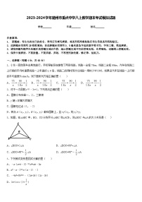 2023-2024学年随州市重点中学八上数学期末考试模拟试题含答案