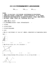 2023-2024学年青海省海南市数学八上期末达标测试试题含答案