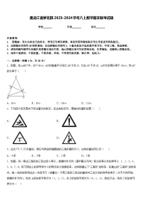 黑龙江省萝北县2023-2024学年八上数学期末联考试题含答案