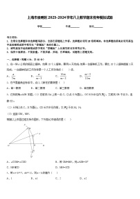 上海市崇明区2023-2024学年八上数学期末统考模拟试题含答案