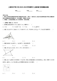 上海市长宁区9校2023-2024学年数学八上期末复习检测模拟试题含答案