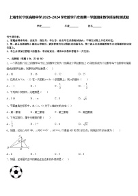 上海市长宁区高级中学2023-2024学年数学八年级第一学期期末教学质量检测试题含答案