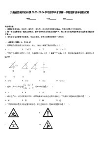 云南省昆明市石林县2023-2024学年数学八年级第一学期期末统考模拟试题含答案