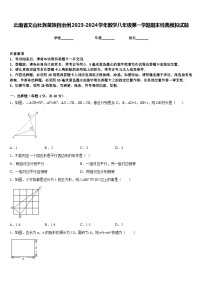 云南省文山壮族苗族自治州2023-2024学年数学八年级第一学期期末经典模拟试题含答案