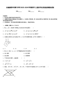 云南省腾冲市第八中学2023-2024学年数学八上期末学业质量监测模拟试题含答案