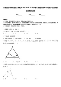 云南省昭通市昭阳区苏家院乡中学2023-2024学年八年级数学第一学期期末质量跟踪监视模拟试题含答案