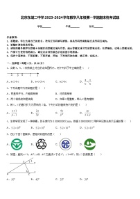 北京东城二中学2023-2024学年数学八年级第一学期期末统考试题含答案