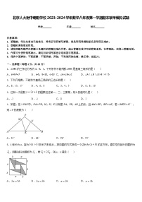 北京人大附中朝阳学校2023-2024学年数学八年级第一学期期末联考模拟试题含答案