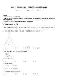 北京十一学校2023-2024学年数学八上期末经典模拟试题含答案