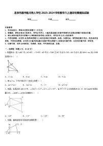 北京市昌平临川育人学校2023-2024学年数学八上期末经典模拟试题含答案