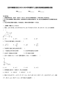 北京市朝阳区名校2023-2024学年数学八上期末质量跟踪监视模拟试题含答案