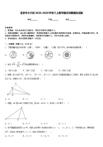 北京市大兴区2023-2024学年八上数学期末经典模拟试题含答案