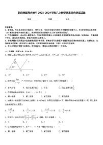 北京西城师大附中2023-2024学年八上数学期末综合测试试题含答案