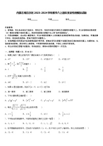 内蒙古海拉尔区2023-2024学年数学八上期末质量检测模拟试题含答案