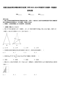 内蒙古自治区鄂尔多斯市康巴什区第二中学2023-2024学年数学八年级第一学期期末统考试题含答案